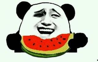 最惨的吃瓜番视频,揭秘最惨番视频幕后真相