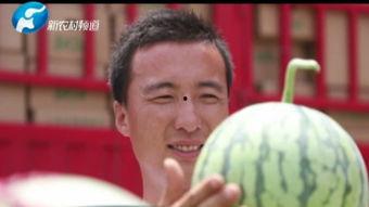 薛小碗吃瓜视频在线观看,揭秘娱乐圈幕后故事