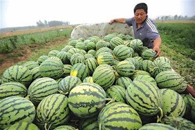 贩卖吃瓜视频大全,笑料百出,娱乐无限