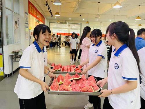 城市学院吃瓜视频,揭秘校园生活趣味瞬间