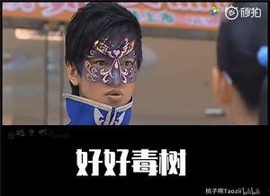 吃鸡雨女无瓜视频下载安装,轻松掌握游戏攻略