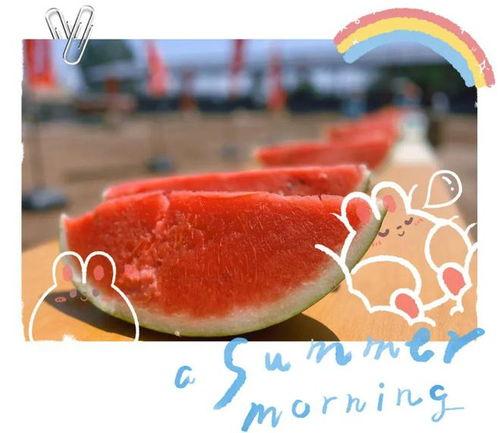 永清吃瓜现场视频,一场全民围观的热闹盛宴