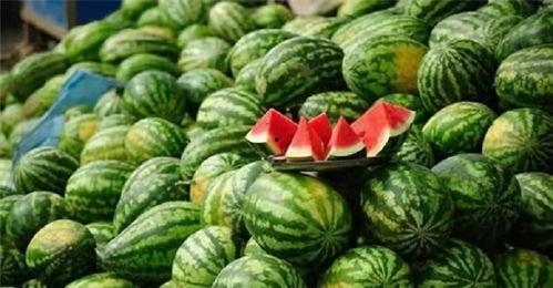 广西行健吃瓜视频链接,揭秘网红美食背后的故事