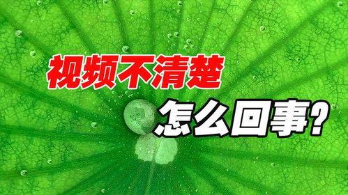 抖音都在发吃瓜的视频嘛,全民吃瓜,揭秘网络热点背后的故事