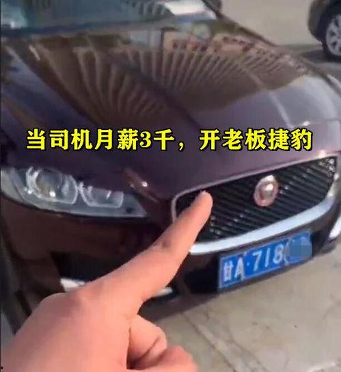 吃瓜公职人员视频,一场网络舆论的风暴