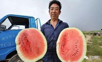 吃瓜视频是哪个国家的,吃瓜视频源自哪个国家的热门现象