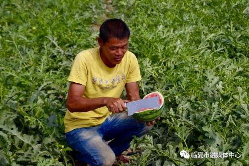 临夏吃瓜最新事件视频,一场引发热议的街头冲突瞬间