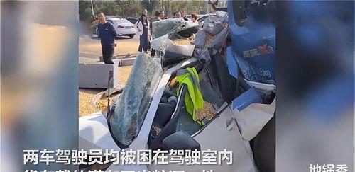 石家庄各县吃瓜事件视频,视频揭秘背后的网络热议