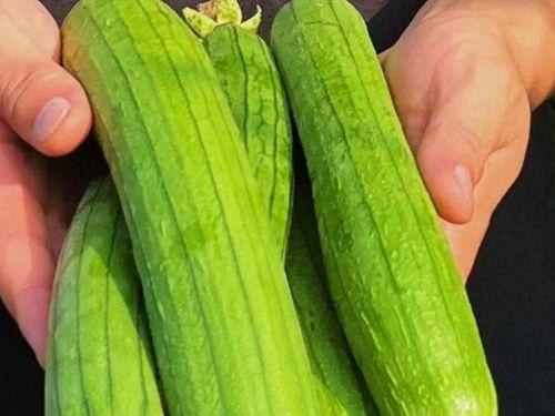 小风讲解吃瓜的视频全集,视频全集精彩回顾