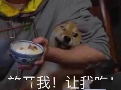 带你吃瓜拍照搞笑视频,趣味拍照，带你领略搞笑瞬间