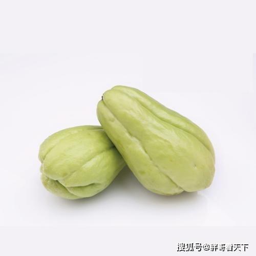 胖哥吃佛手瓜完整视频,美味与挑战并存！