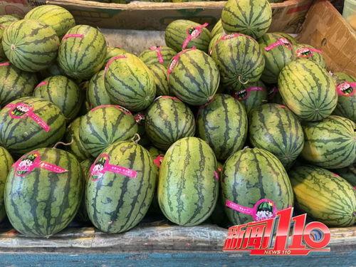 大瓜都在哪里吃的视频播放,大瓜都在这里被疯狂播放，视频播放量惊人！