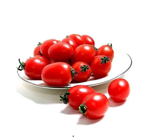 圣女果在厨房的视频吃瓜,一场别开生面的吃瓜盛宴