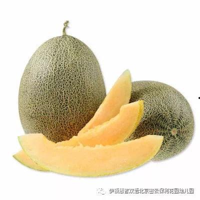 鹅喜欢吃哈密瓜怎么办视频,趣味视频揭秘鹅的美食偏好