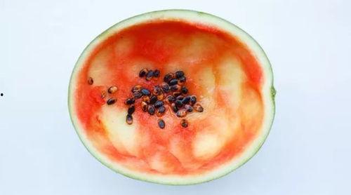 圆球吃瓜勺子怎么做视频,圆球吃瓜勺子创意视频制作攻略