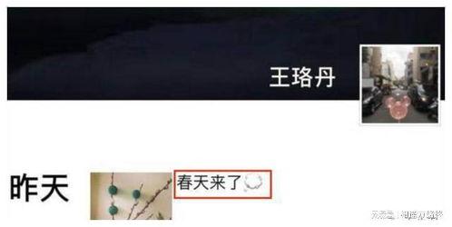 吃瓜的万小刀视频,揭秘娱乐圈幕后故事