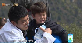 爸爸给儿子吃开心瓜视频,温馨瞬间感动网友