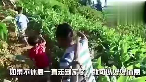 兴福吃瓜视频,揭秘娱乐圈幕后故事