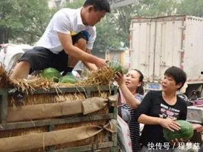 长垣县吃瓜视频剧情介绍,揭秘视频背后的惊人真相