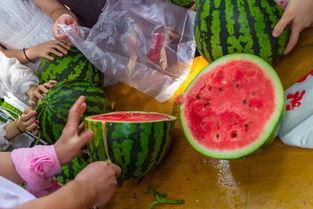 实时吃瓜视频在哪里看的,一网打尽全网热点瞬间