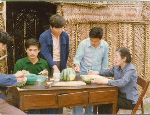 吃瓜华人最新视频,热门事件背后的真相与内幕