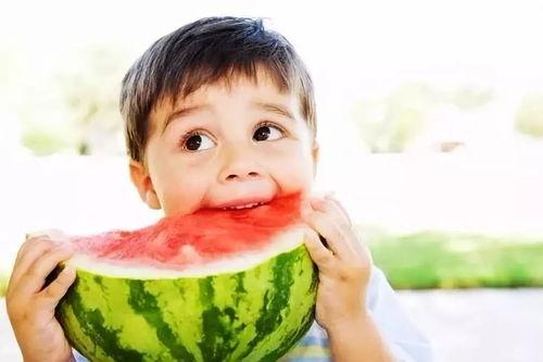 吃瓜摆烂视频在线观看全集,揭秘热门视频全集幕后故事