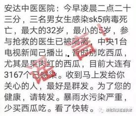 吃瓜群众不传谣视频,传播正能量，共建清朗网络空间