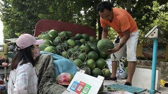 济宁情人节吃瓜视频