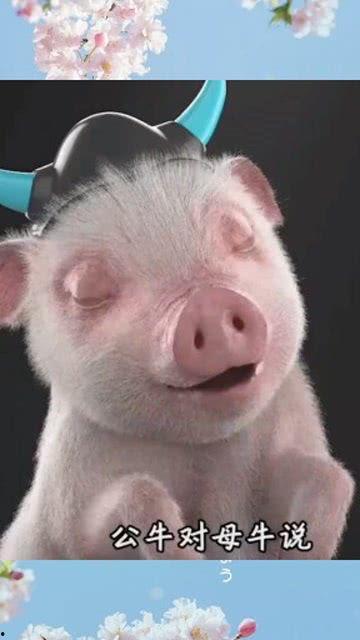 吃瓜的搞笑视频笑肚子疼,笑到肚子疼！吃瓜搞笑视频大盘点