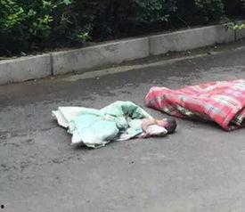 河北魏县吃瓜事件视频,一场引发热议的网络视频风波