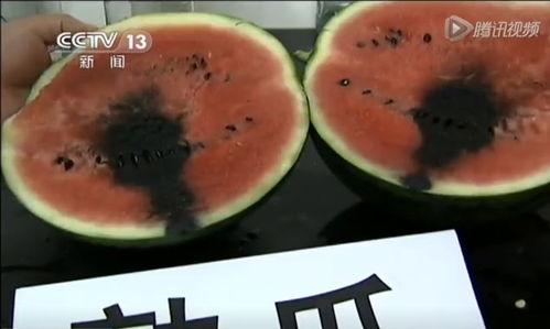 小黑粉开大号吃瓜视频