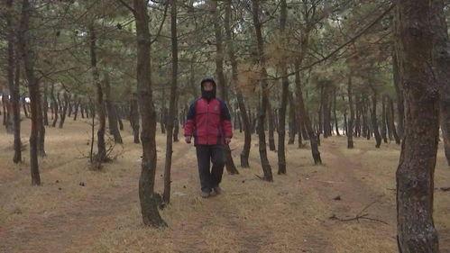 二虎和苏木吃瓜视频在线观看,趣味横生的娱乐盛宴