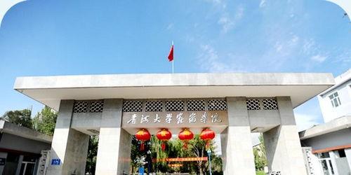 青海西宁吃瓜事件大学视频,大学校园内的热议瞬间