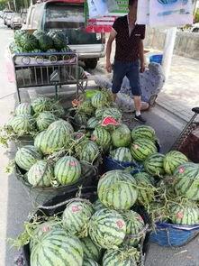 山西长治吃瓜事件视频最新,真相与争议交织