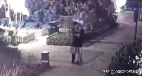 拉萨最近吃瓜视频曝光,视频曝光引网友热议