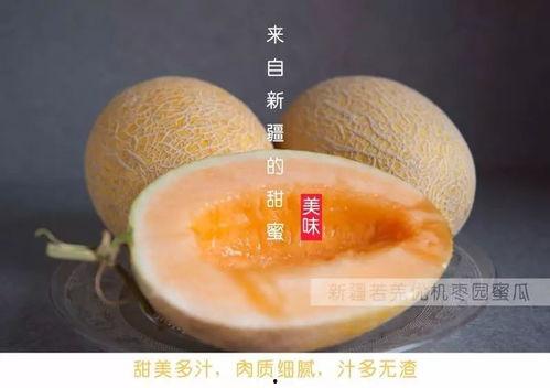 小伙伴吃哈密瓜视频在线观看