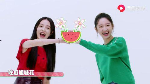 我们一起吃瓜视频