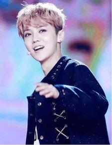 鹿晗吃瓜八卦视频合集免费观看,免费观看视频合集大揭秘