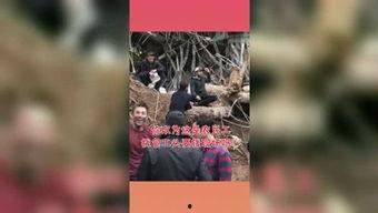 吃瓜星球怎么发视频,轻松上手，视频创作新体验