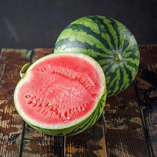 快速吃麒麟瓜视频,吃瓜速度哪家强？