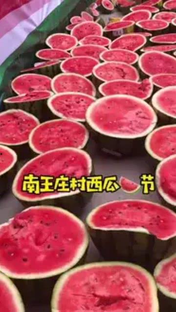 吃瓜视频保定,揭秘当地生活百态